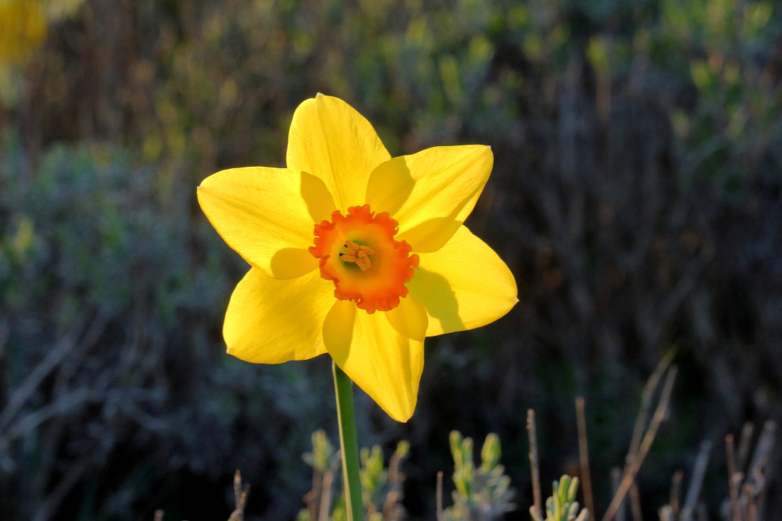21032019 048_1.JPG