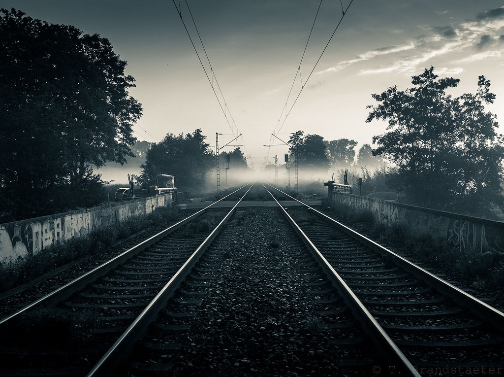 21737211691_a5d07f91d9_b.jpg