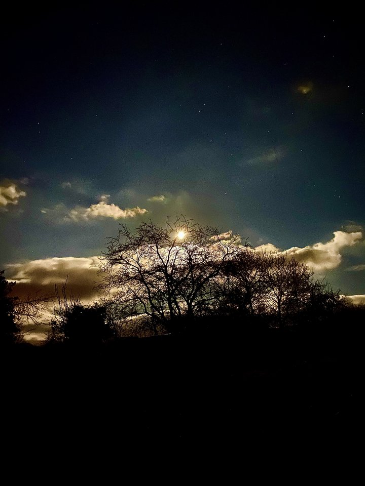 221F11BE-DE07-4693-B828-67556FCAD825.jpeg