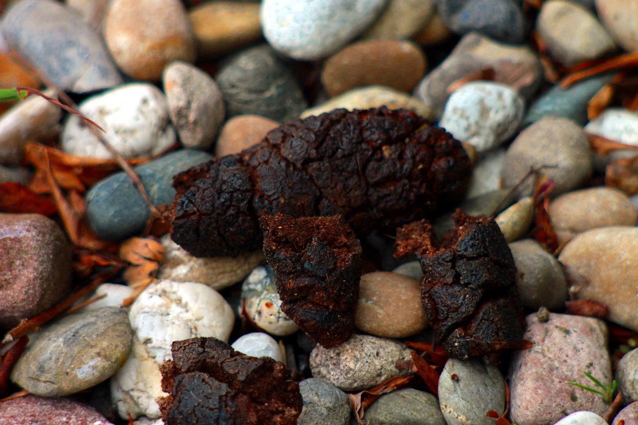 23-25042018 007.webp