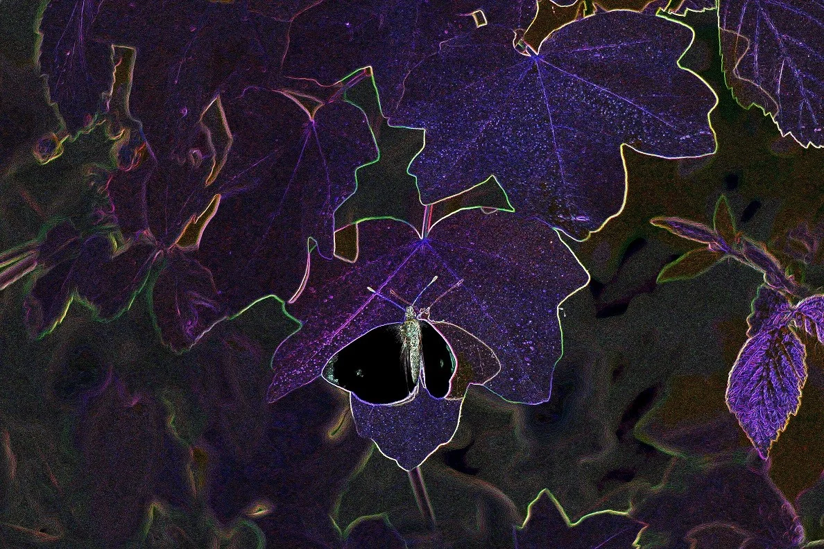 23-25042018 109.webp