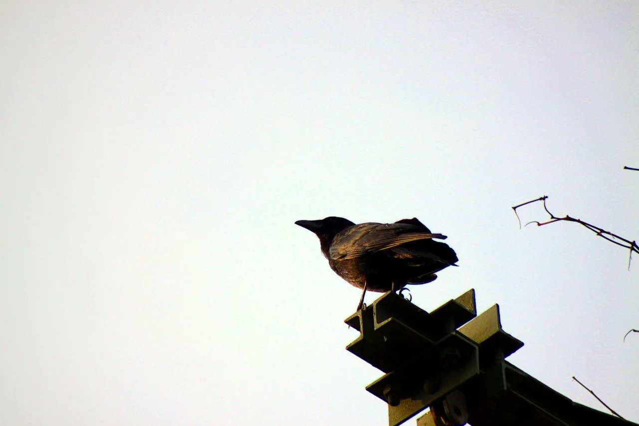 23-25042018 122.webp