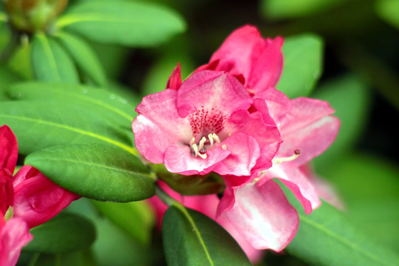 23-25042018 139.webp