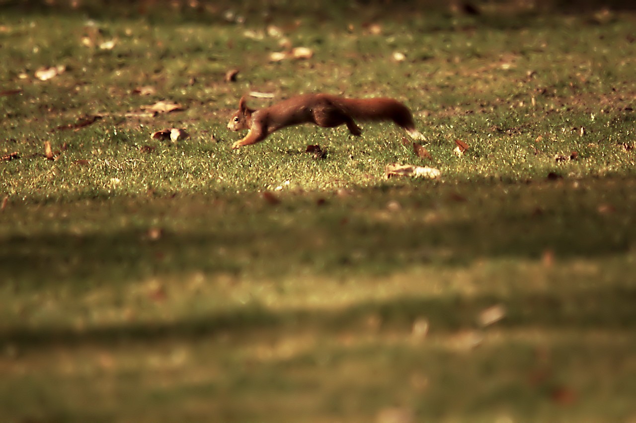 23022019_luisenpark 009.jpg