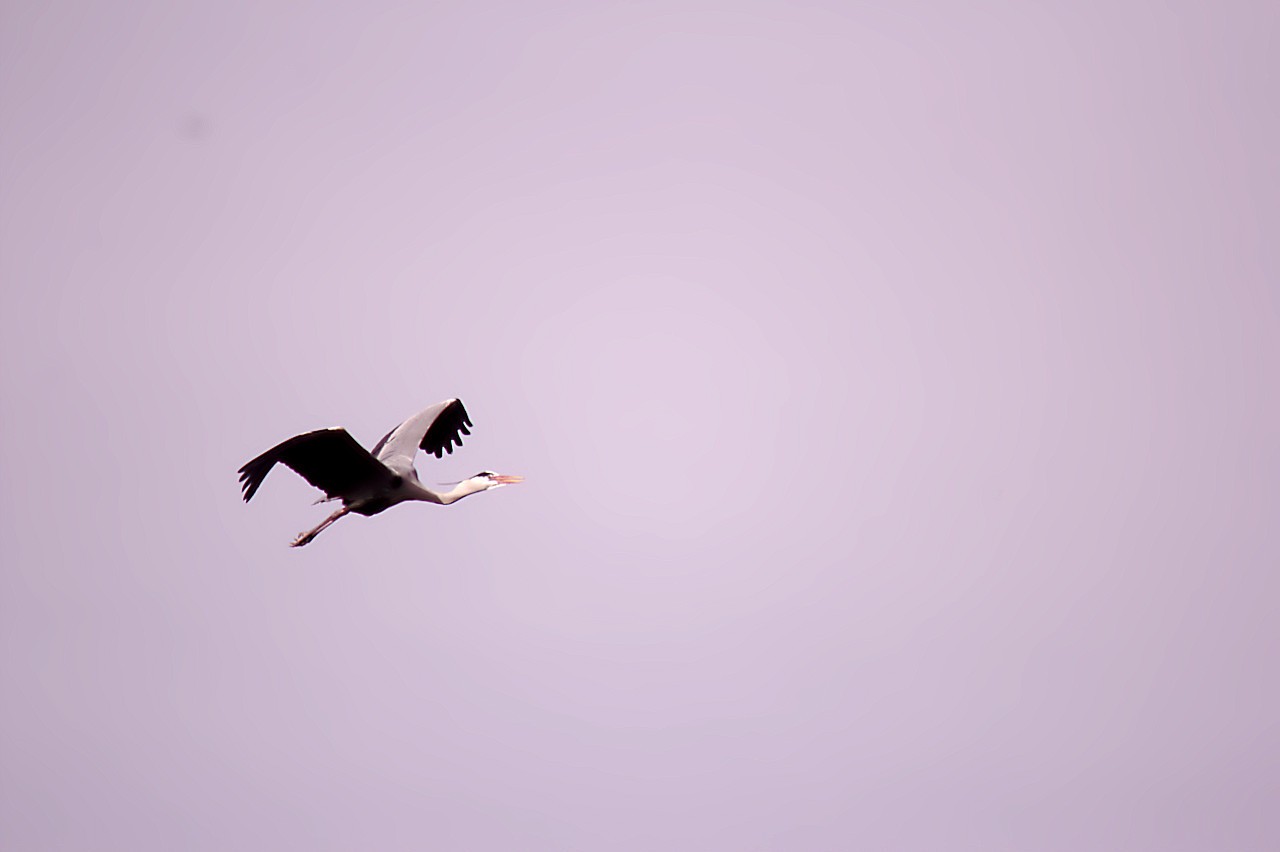 23022019_luisenpark 260.jpg
