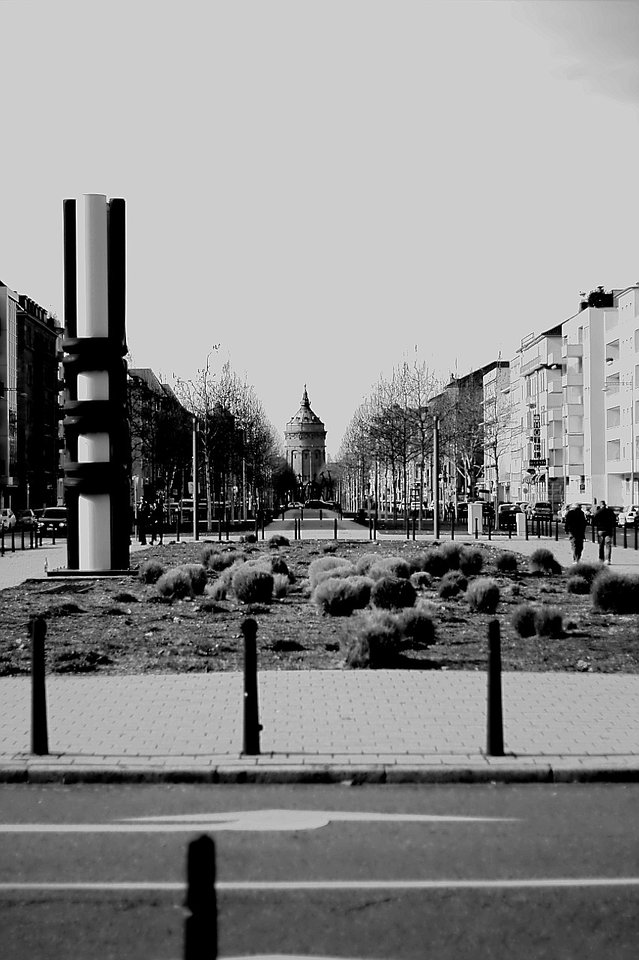 23022019_luisenpark 293.jpg