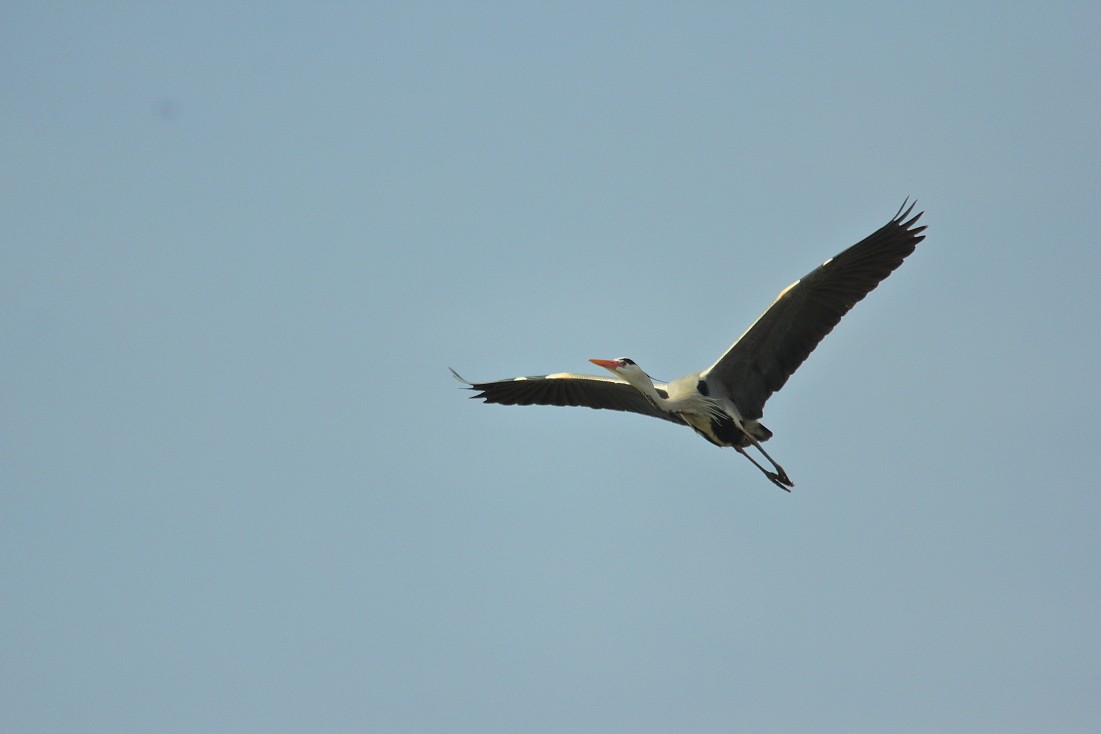 23022019_luisenpark_01.JPG