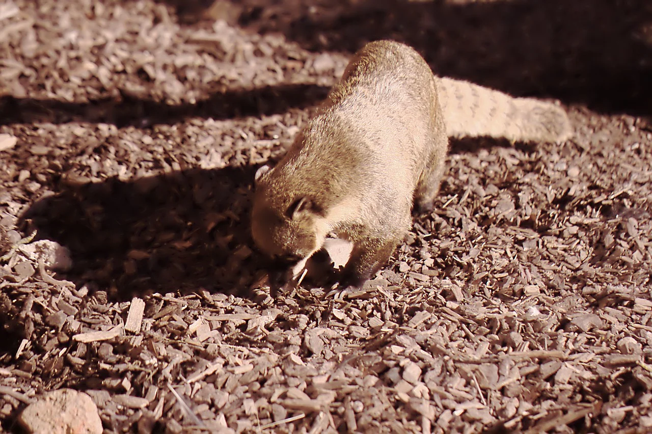 24022019_Worms 013.webp