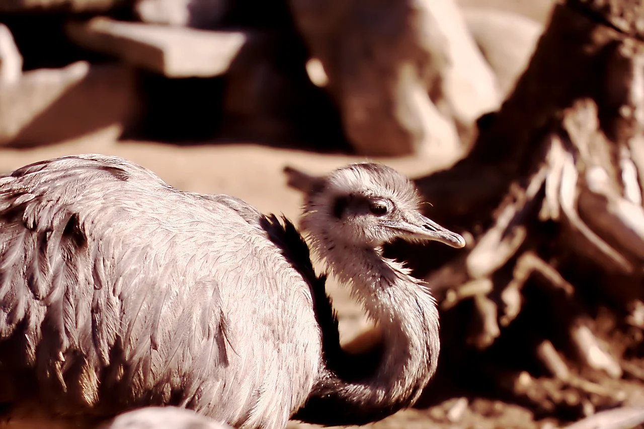 24022019_Worms 015.webp