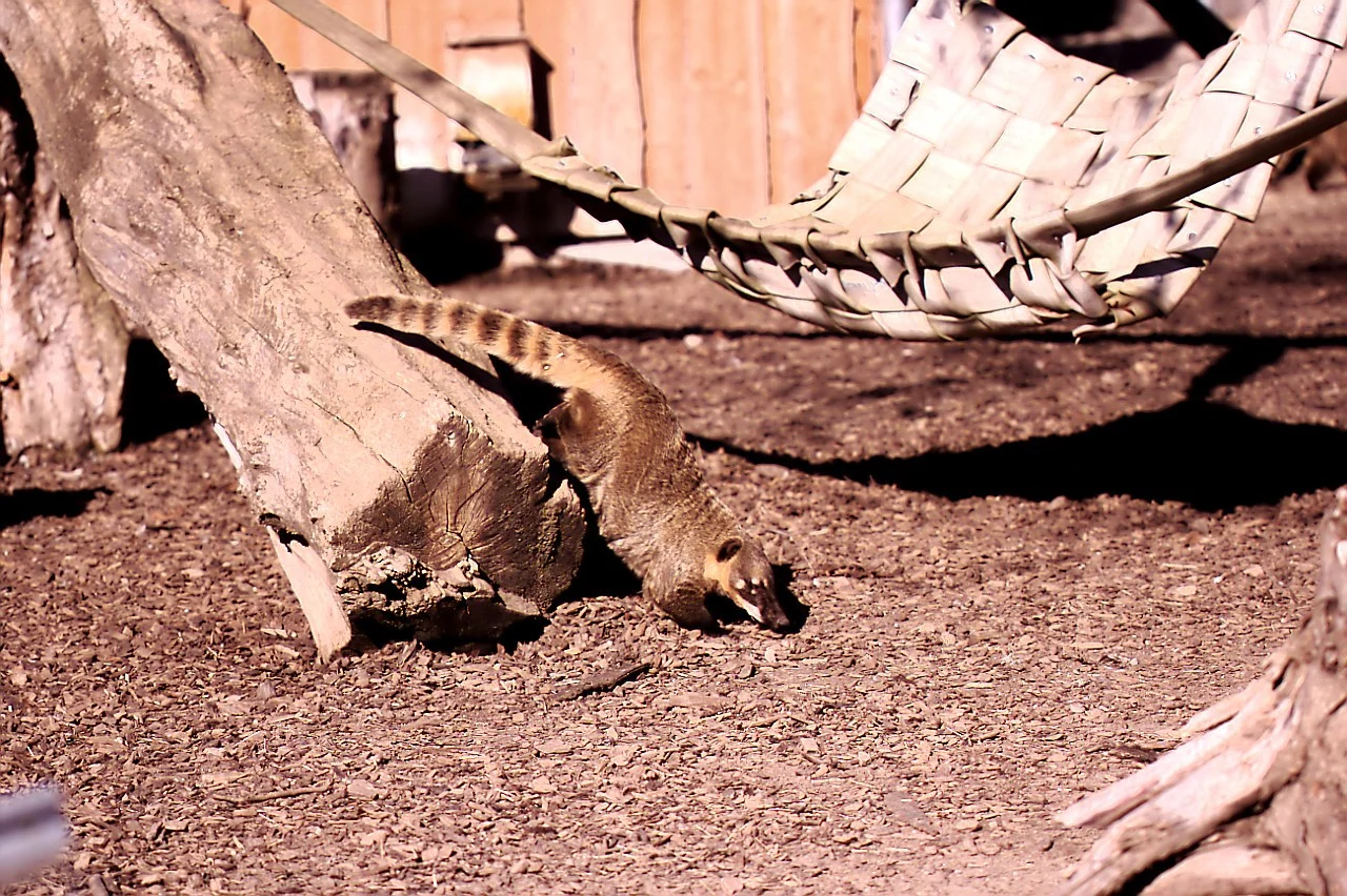 24022019_Worms 025.webp