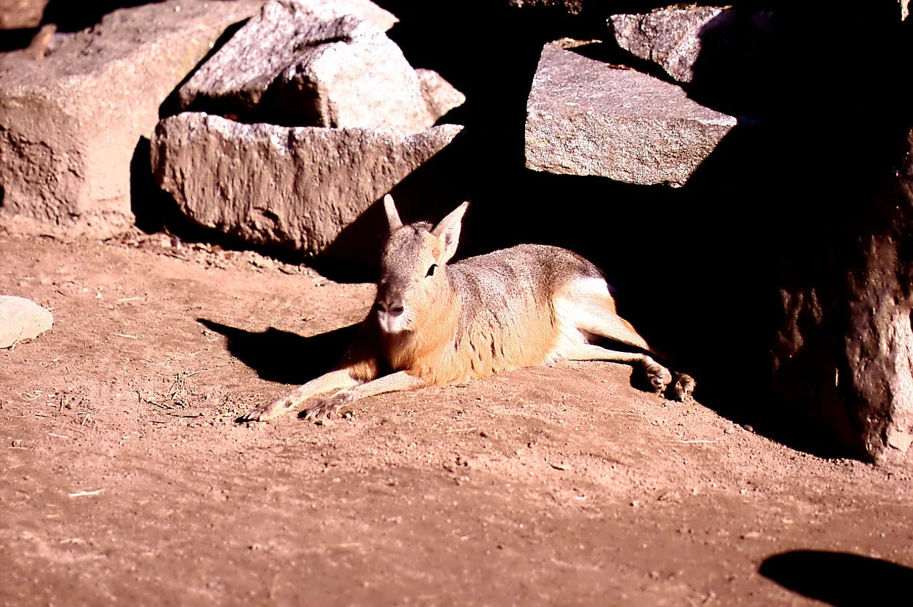 24022019_Worms 030.webp