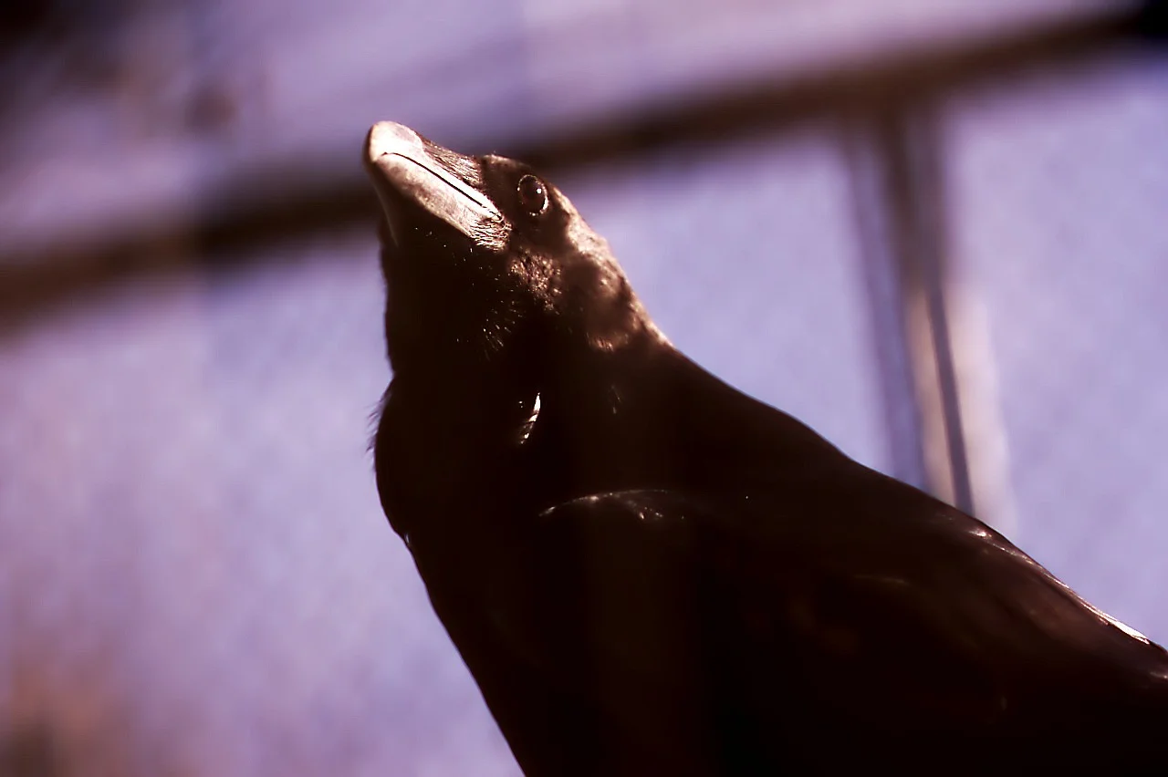 24022019_Worms 058.webp