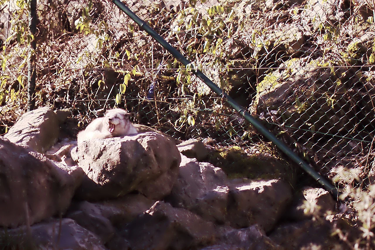 24022019_Worms 082.webp