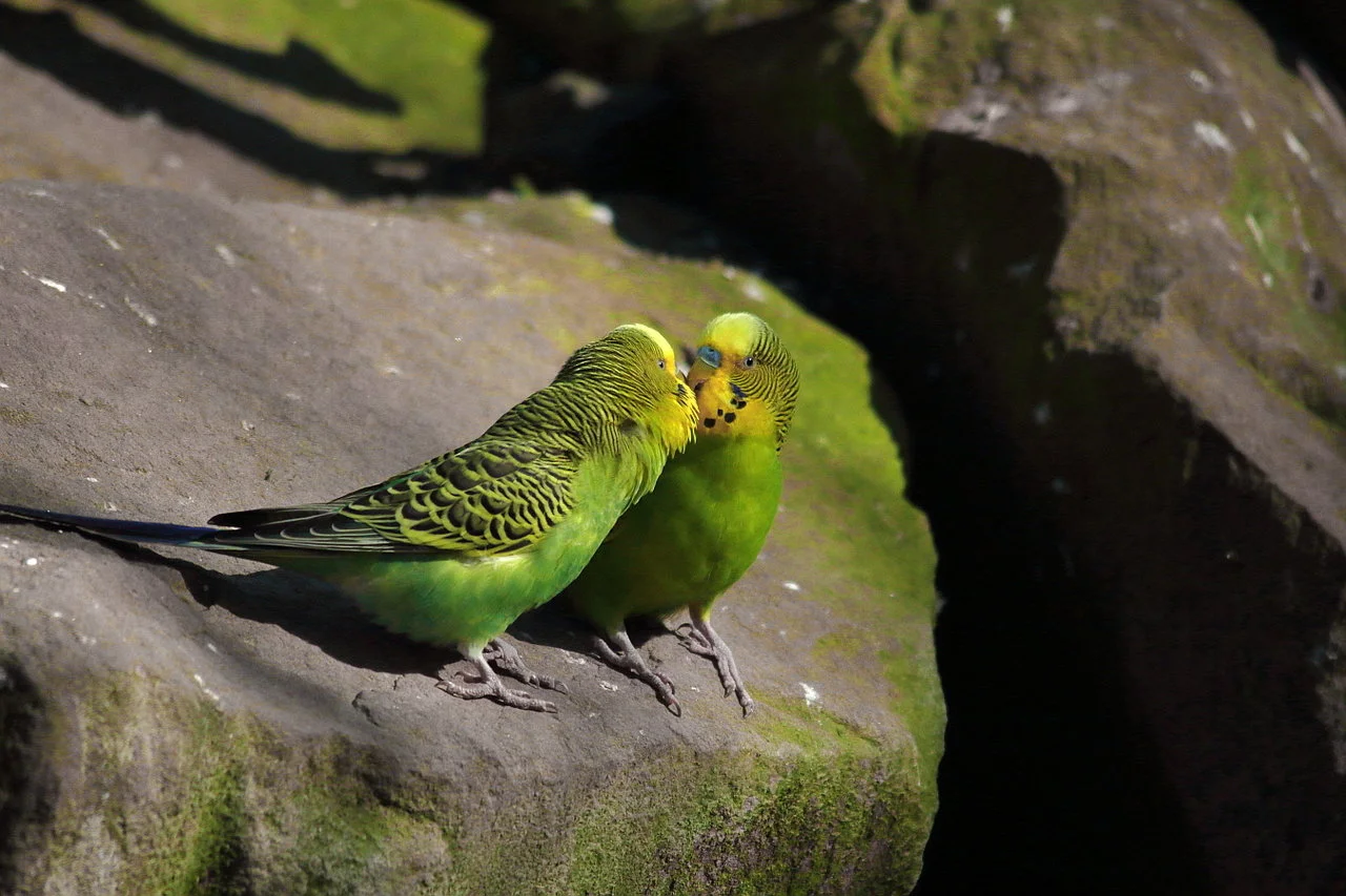 24022019_Worms 117_a.webp