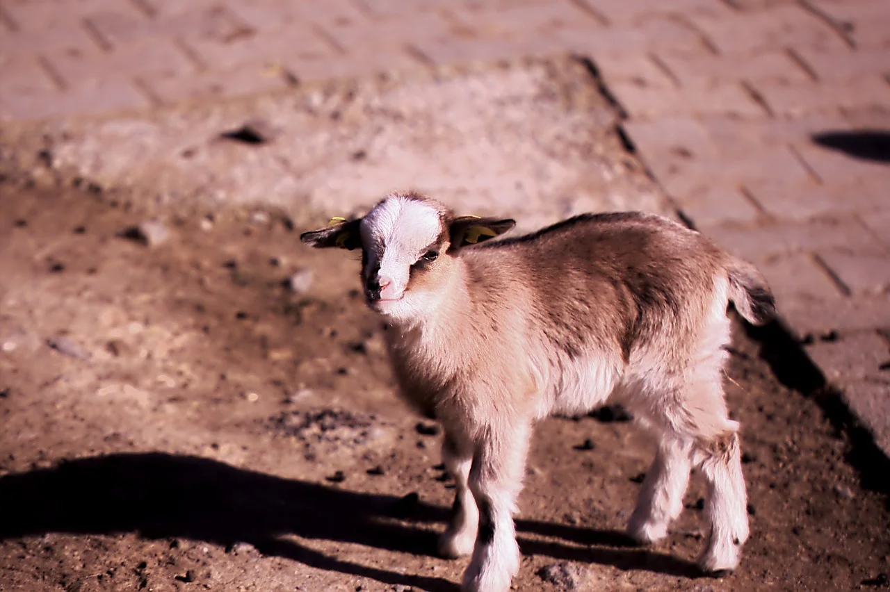 24022019_Worms 174.webp