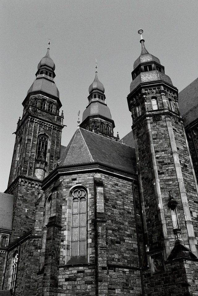 24032019-038_1-jpg.285499
