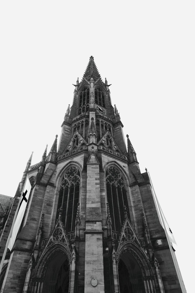 24032019 040_1.JPG