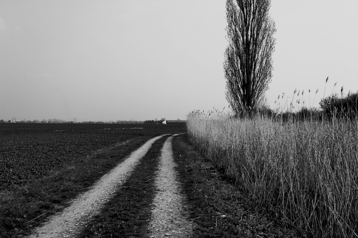 24032019 122_1.JPG