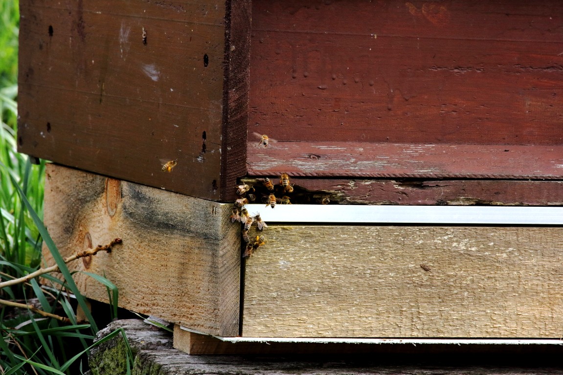 24032019 126_1.JPG