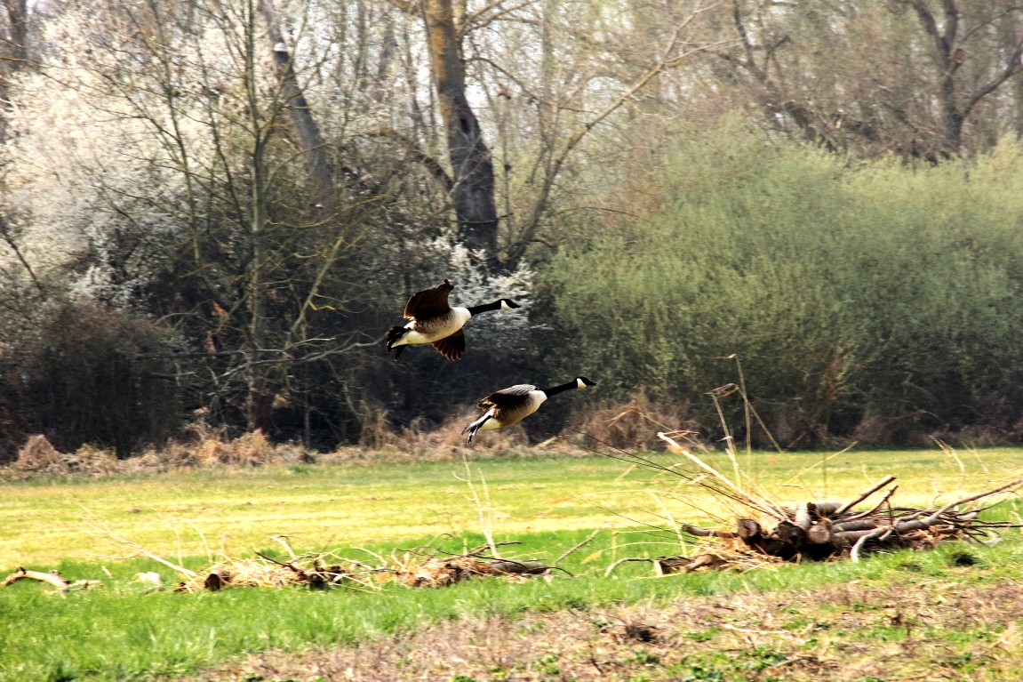 24032019 142_1.JPG