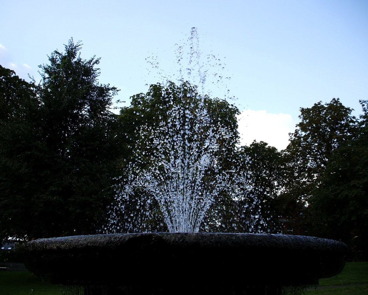 29 b .JPG