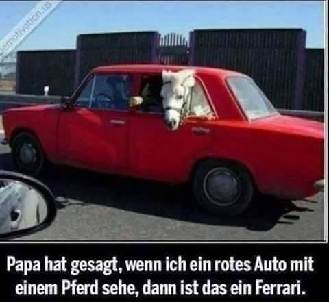 2AEBDE1E-4C89-4B0F-854E-D2241CA4AD01.jpeg