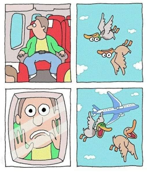 2B66769B-BD51-4D7A-AF71-39D6D5BDFF2C.jpeg