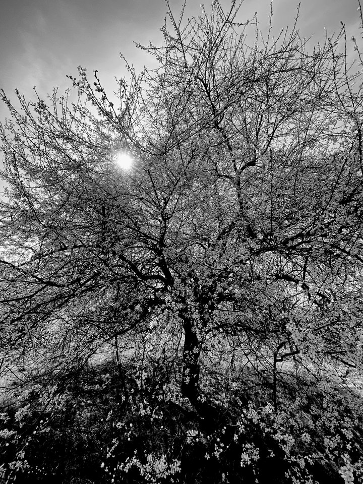 2CC7F5BC-725C-497E-892E-665F4F986514.jpeg