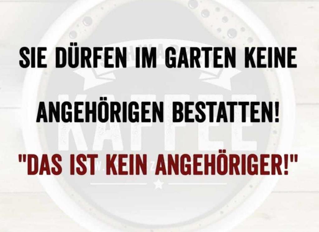 2f8f66dd-4b6a-4bf1-b4a7-a8865b3596de.jpeg