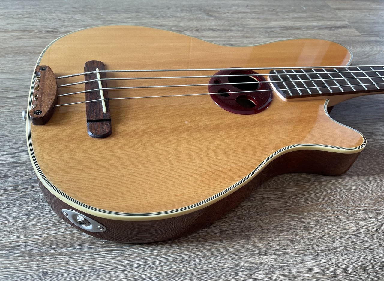 Ibanez Talman Intertour TTR34B Halb Akustik Bass Hollow Body