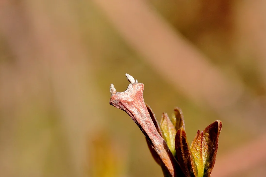 31032019 012_01.webp