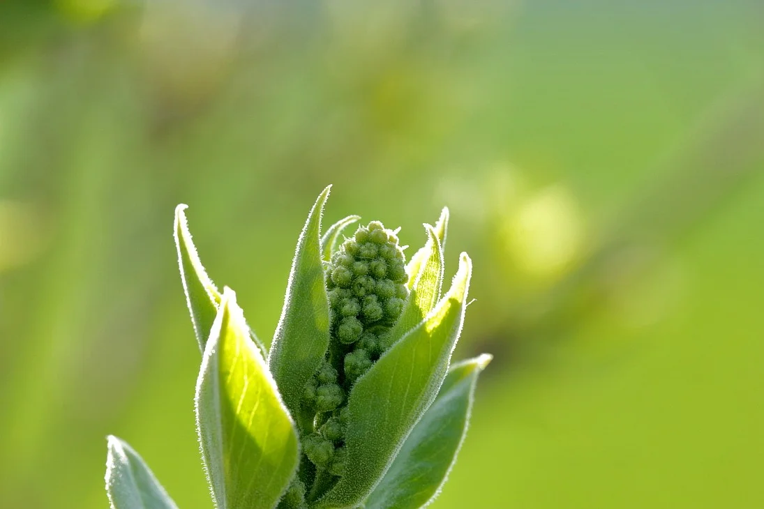 31032019 017_01.webp