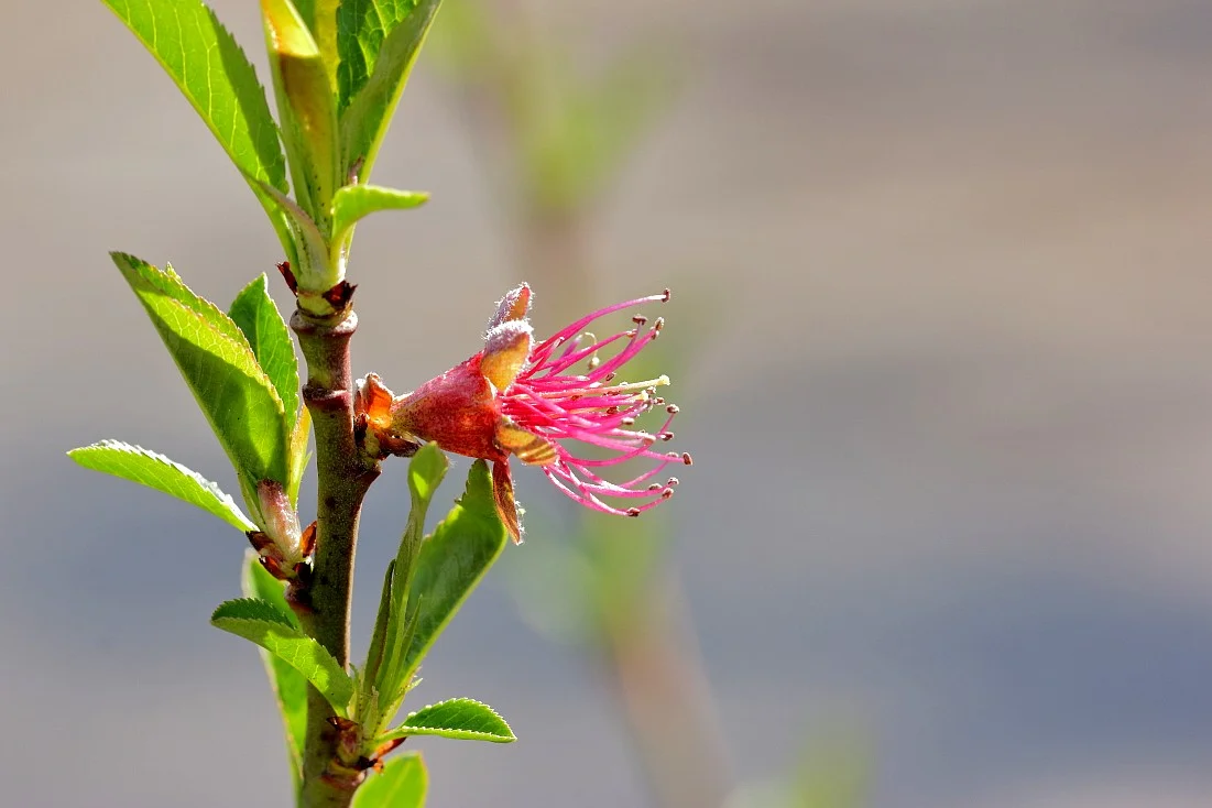 31032019 056_01.webp