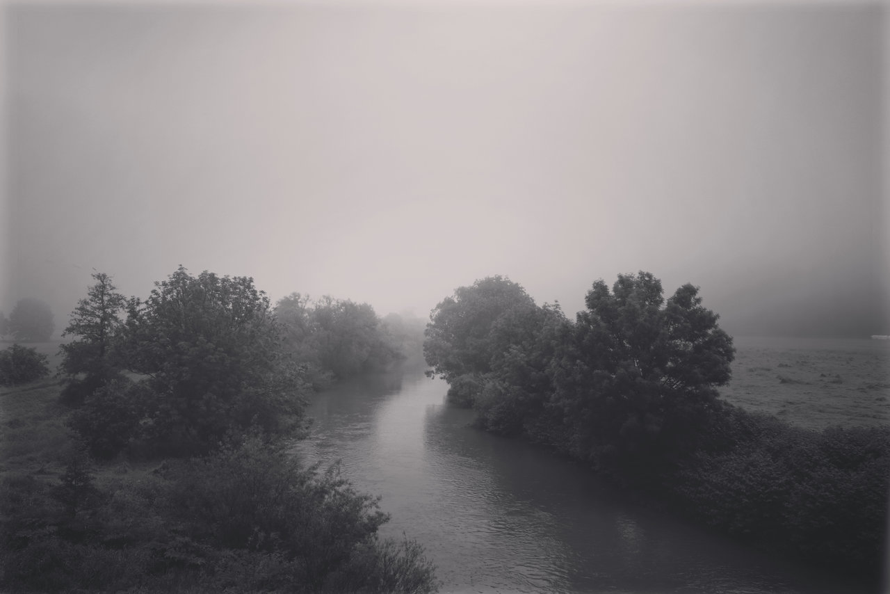 316B11C4-D412-4AE3-A98B-17DFD38C340A.jpeg