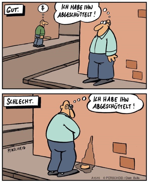 309068