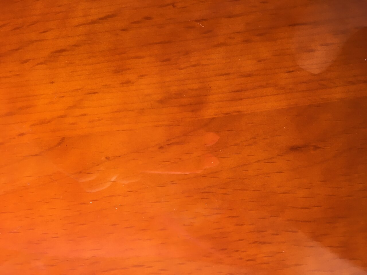 3700BF94-5A3A-46BC-A26C-A1840751FE39.jpeg