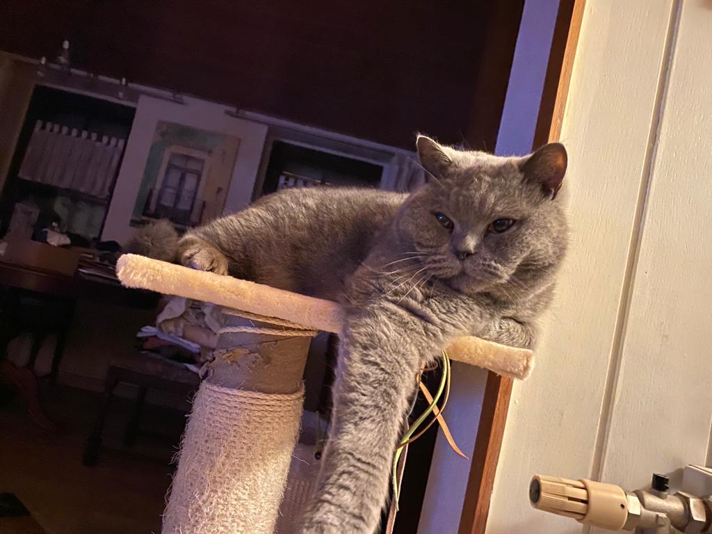3CF1977A-7387-4C07-801E-1AD11AF46FC7.jpeg