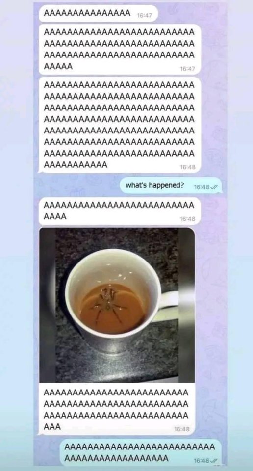3F244528-014D-4BC4-A7F4-9B98AF4313B3.jpeg