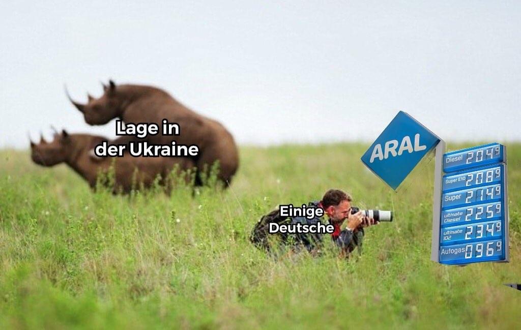 40448B28-1C09-4E64-95C6-1D168C28950D.jpeg