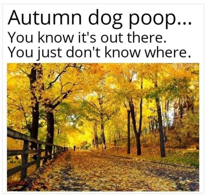 430C5F1C-7D20-4C06-BA80-2DFB266EEFA3.jpeg