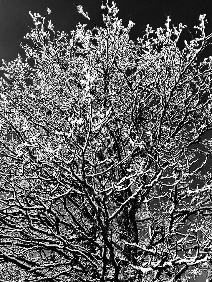 491B577D-1941-4017-AFF3-0B7470A4885F.jpeg