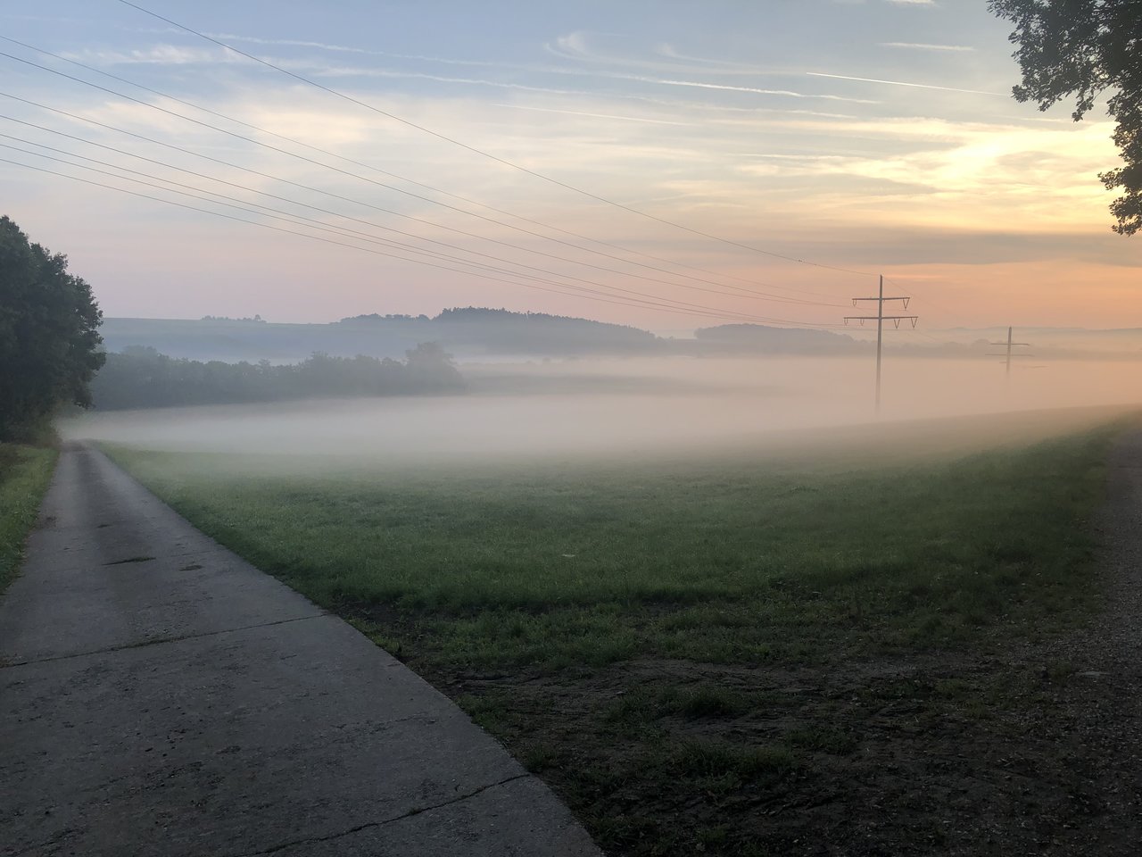 49D14675-9436-4A9C-A4BB-43C7CF5F1BE5.jpeg