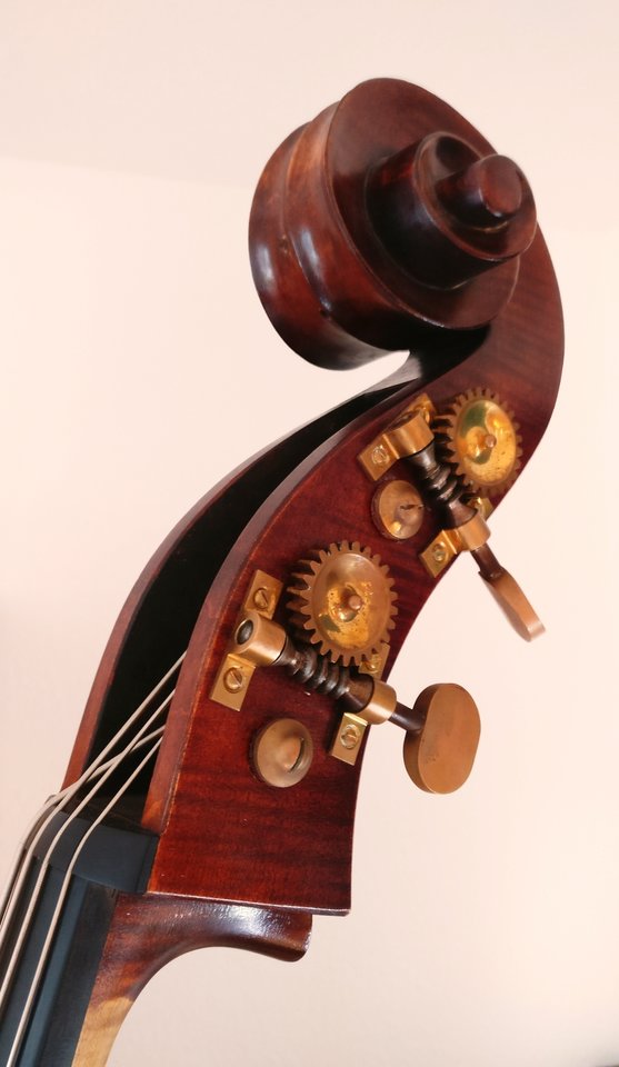 53869--katalog--12--Thomas-Martin-Ruggeri-Kontrabass-in-Koeln--_--399--689.jpeg