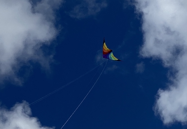 54A45665-70CC-4003-A567-245B05AF081F.jpeg