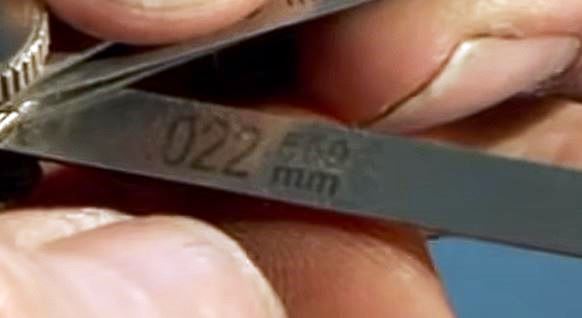 559.JPG