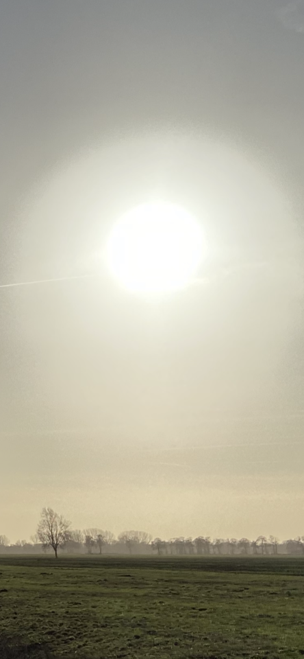 58061F8A-074B-4977-8063-C55A12A10AC7.png