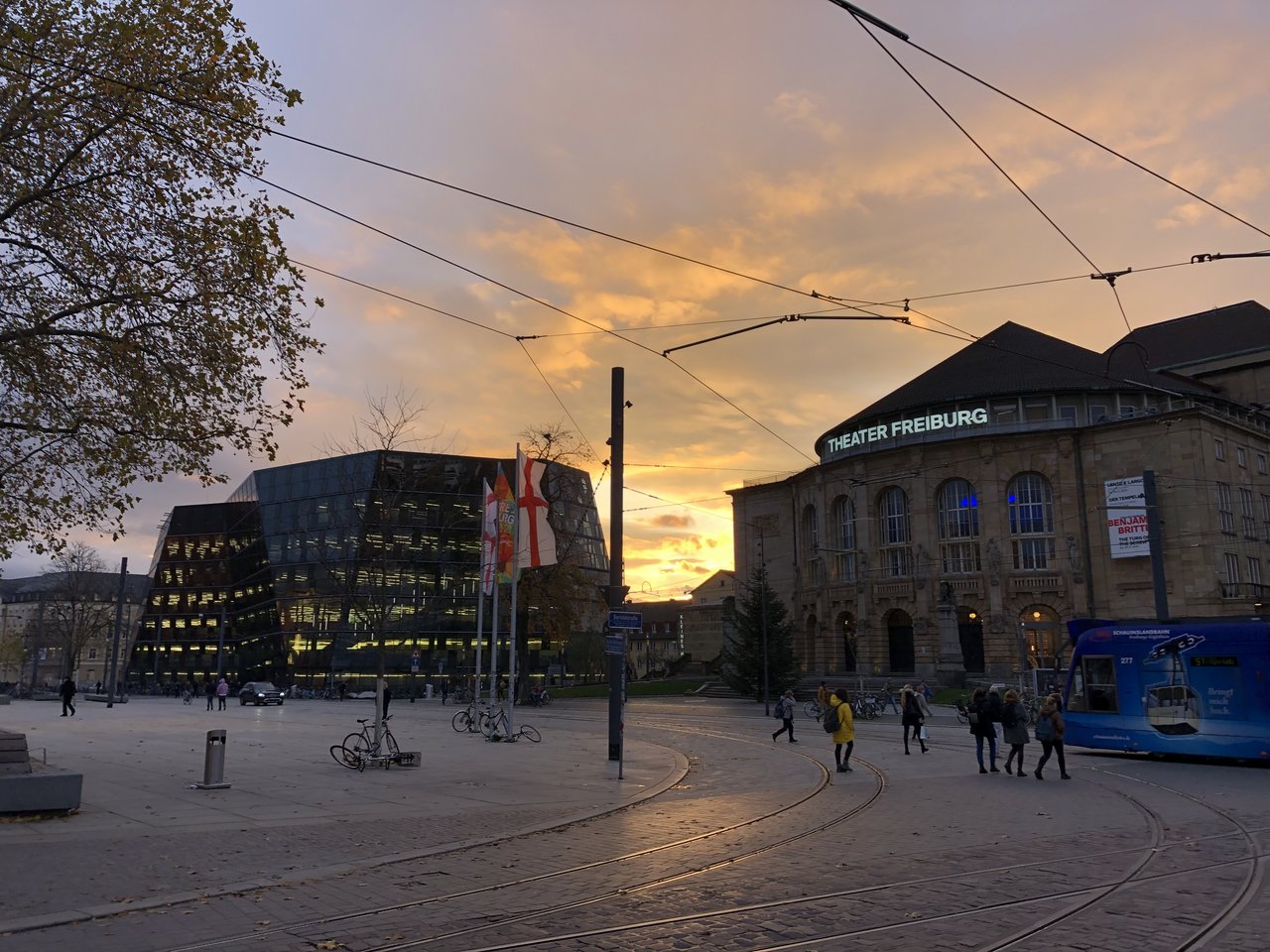 58AE1ADE-7033-4ED7-935E-726DE58E2D78.jpeg