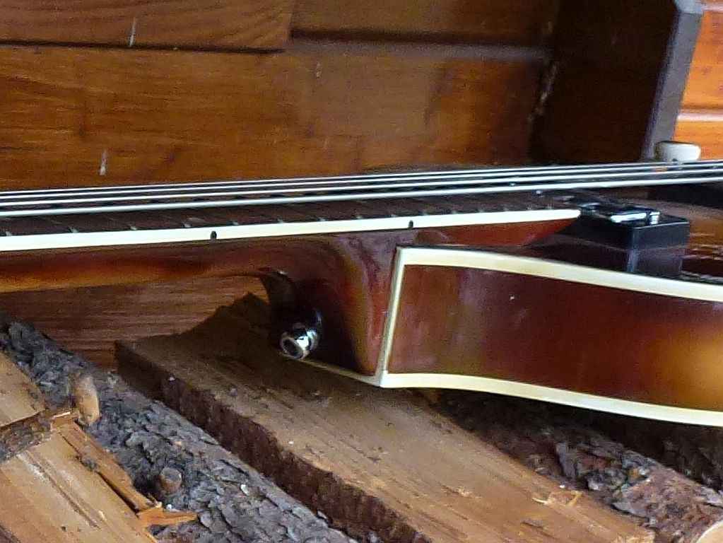 590.jpg