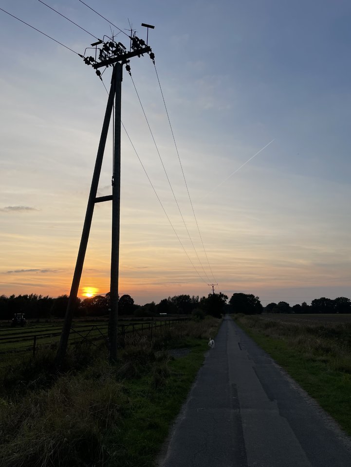 5B940B5D-D715-44C9-B234-D38CFE0D38F7.jpeg