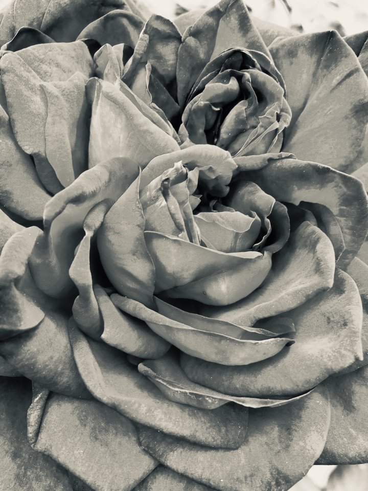 6065D5B6-1992-45CE-95B9-9F67DF67399B.jpeg